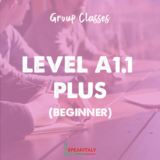 Group Classes - Beginner A1.1 PLUS - IN PERSON BROOKLYN