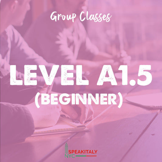 Group Classes - Level A1.5 (Beginner) - IN PERSON- BROOKLYN