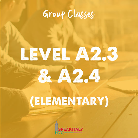 Group Classes - Level A2.3 & A2.4 (Elementary) - IN PERSON- BROOKLYN
